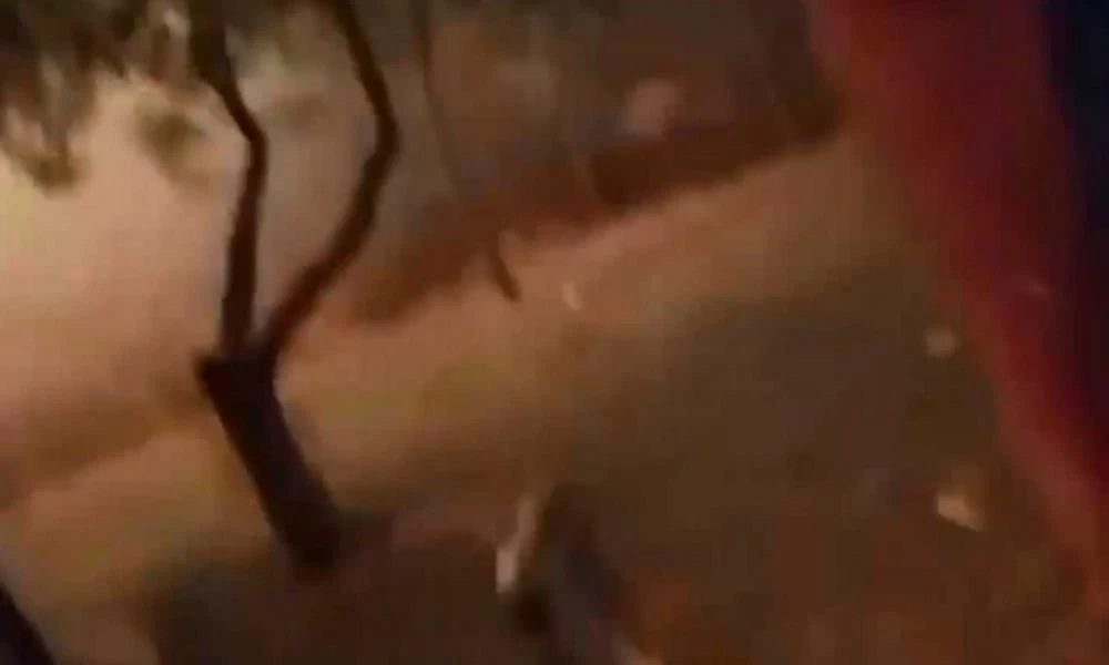 Φωτιά στην Εύβοια: Βίντεο μέσα από το πύρινο μέτωπο – «Θεέ μου σε παρακαλώ»